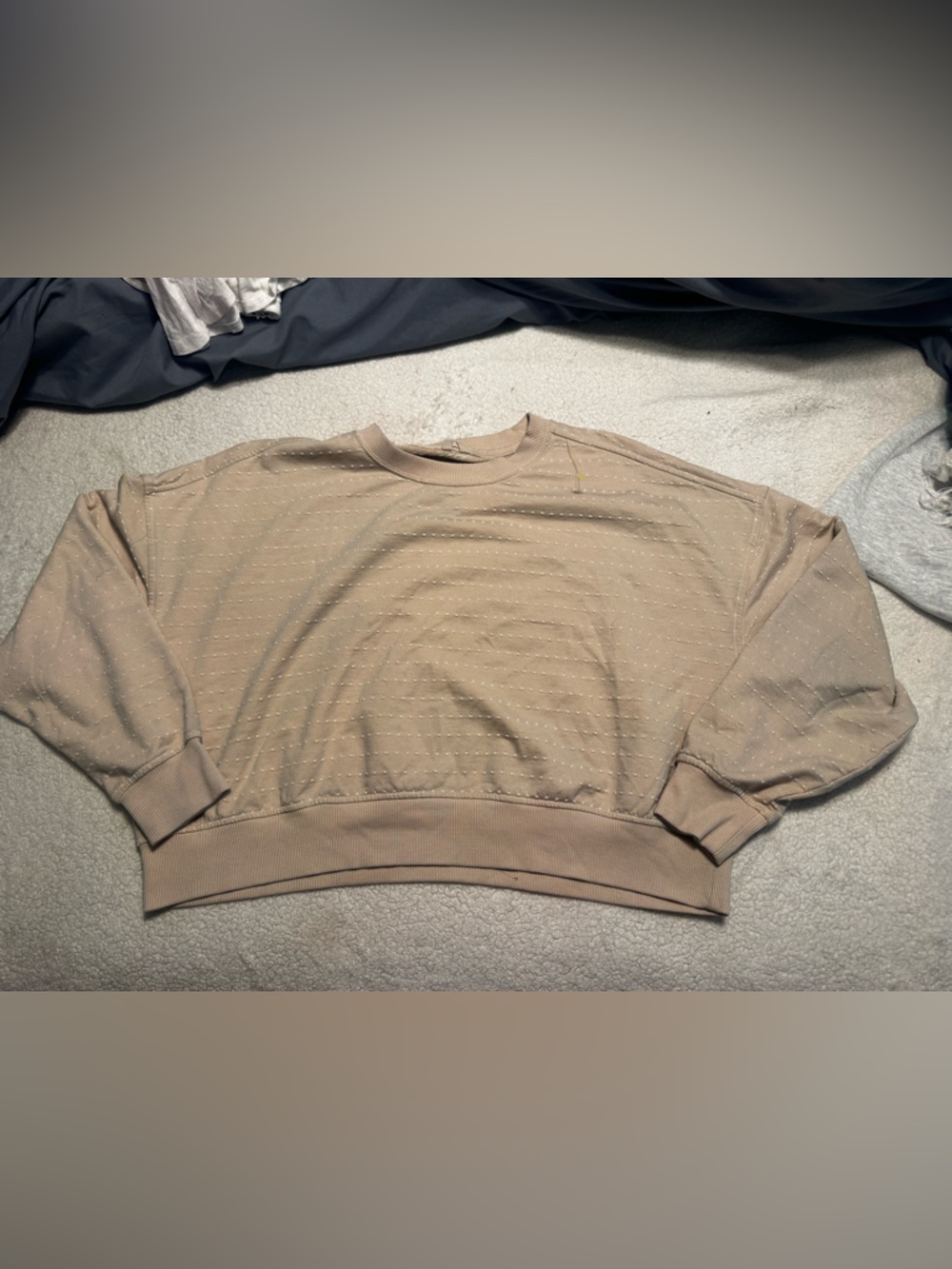 aerie Beige Crewneck Sweatshirt with Subtle Dot Texture